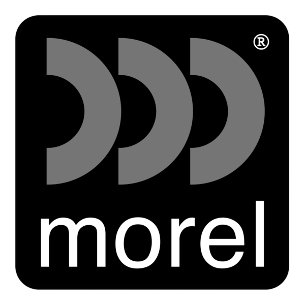 Morel